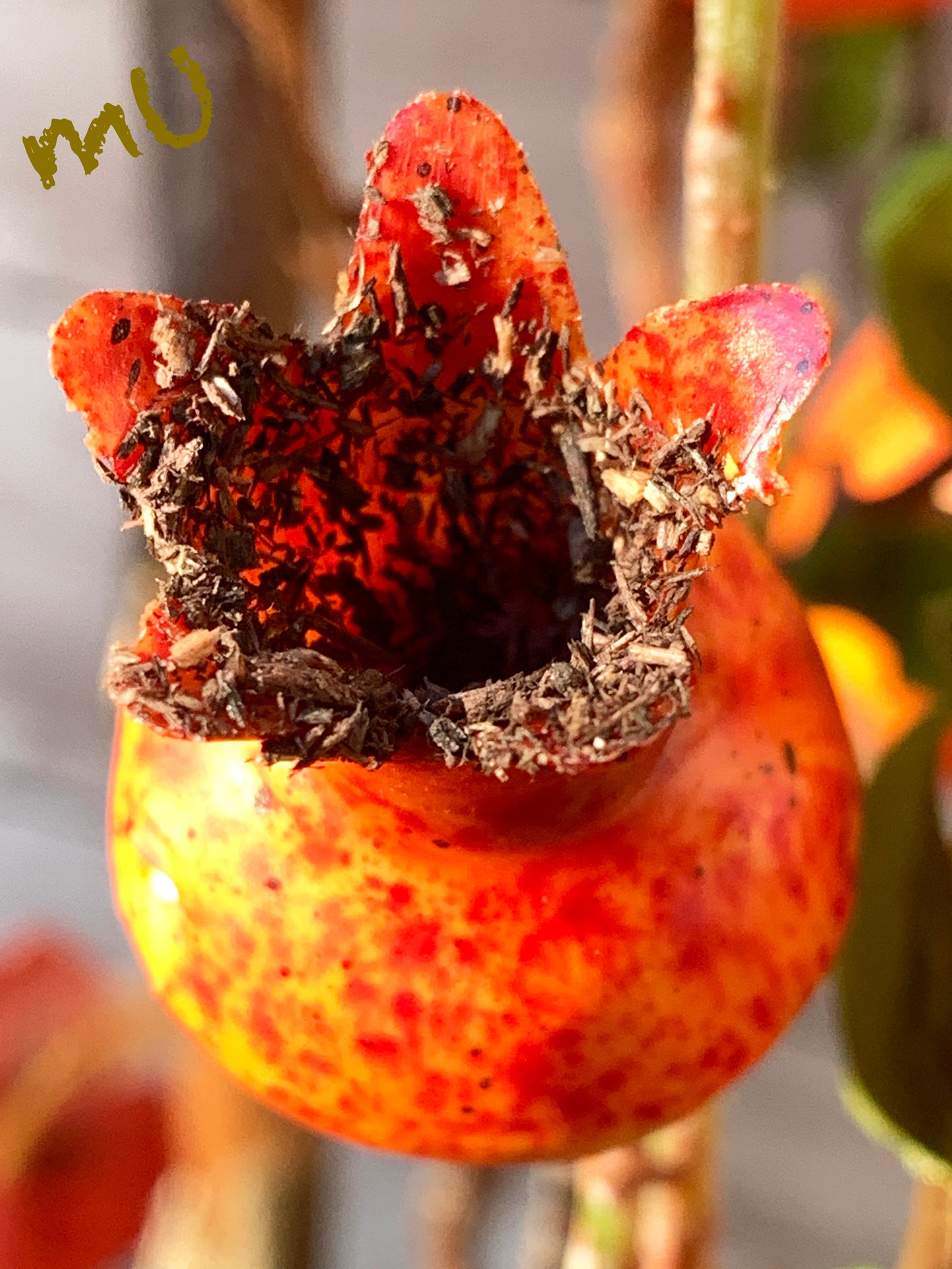 PREMIUM ARTIFICIAL POMEGRANATE ARRANGEMENT ~festive-chinese new year~valentine's day~oriental~zen garden art~